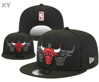 NBA Chicago Bulls Snapback Hat (22)