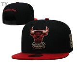 NBA Chicago Bulls Snapback Hat (40)
