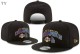 NBA Los Angeles Lakers Snapback Hat (52)