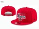 NFL San Francisco 49ers Snapback Hat (610)