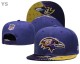 NFL Baltimore Ravens Snapback Hat (181)