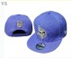 NFL Minnesota Vikings Snapback Hat (97)