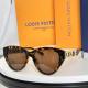 LV Sunglasses AAA (134)