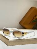 LV Sunglasses AAA (201)