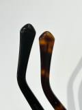 LV Sunglasses AAA (114)
