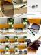 LV Sunglasses AAA (188)