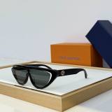 LV Sunglasses AAA (210)