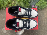 Perfect Nike Dunk Low (1)
