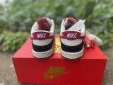 Perfect Nike Dunk Low (2)