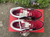 Perfect Nike Dunk Low (2)