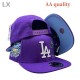 Los Angeles Dodgers 59FIFTY Hat (261)