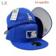Los Angeles Dodgers 59FIFTY Hat (289)
