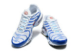 Nike Air Max TN Shoes (56)