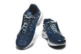 Nike Air Max TN Shoes (45)