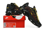 Nike Air Max TN Shoes (48)