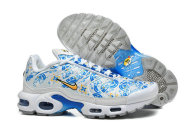 Nike Air Max TN Shoes (42)