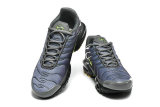 Nike Air Max TN Shoes (41)