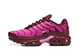 Nike Air Max TN Shoes (40)