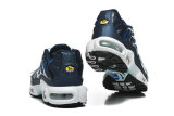 Nike Air Max TN Shoes (45)