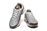 Nike Air Max TN Shoes (49)