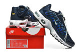 Nike Air Max TN Shoes (45)