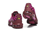 Nike Air Max TN Shoes (40)