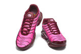 Nike Air Max TN Shoes (40)
