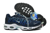 Nike Air Max TN Shoes (45)