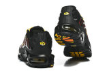 Nike Air Max TN Shoes (48)