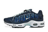 Nike Air Max TN Shoes (45)