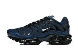 Nike Air Max TN Shoes (43)