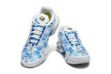 Nike Air Max TN Shoes (42)