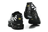 Nike Air Max TN Shoes (46)