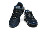 Nike Air Max TN Shoes (43)