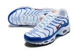 Nike Air Max TN Shoes (56)