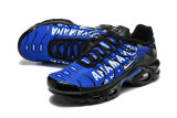 Nike Air Max TN Shoes (37)
