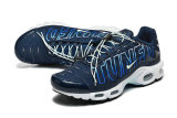 Nike Air Max TN Shoes (45)