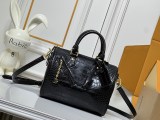 Speedy Handbag (1)