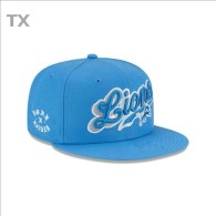 NFL Detroit Lions Snapback Hat (131)