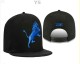 NFL Detroit Lions Snapback Hat (137)