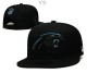 NFL Carolina Panthers Snapback Hat (244)