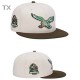NFL Philadelphia Eagles Snapback Hat (342)