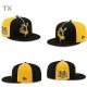 NFL Pittsburgh Steelers Snapback Hat (369)