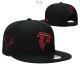 NFL Atlanta Falcons Snapback Hat (19)
