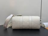 LV Hangbag 25X15X11cm