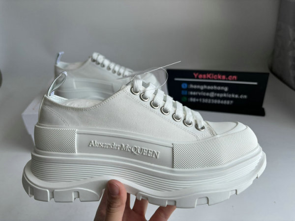 Alexander McQueen Shoes (179)