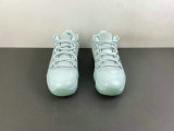 Authentic Air Jordan 11  FirberGlass