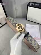 Gucci Belt AAA (29)
