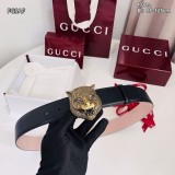 Gucci Belt AAA (39)