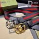 Gucci Belt AAA (62)